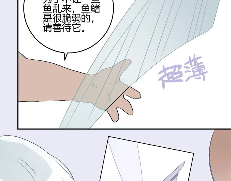 《年年有鱼了！》漫画最新章节请假条 番外小课堂（21P）免费下拉式在线观看章节第【19】张图片