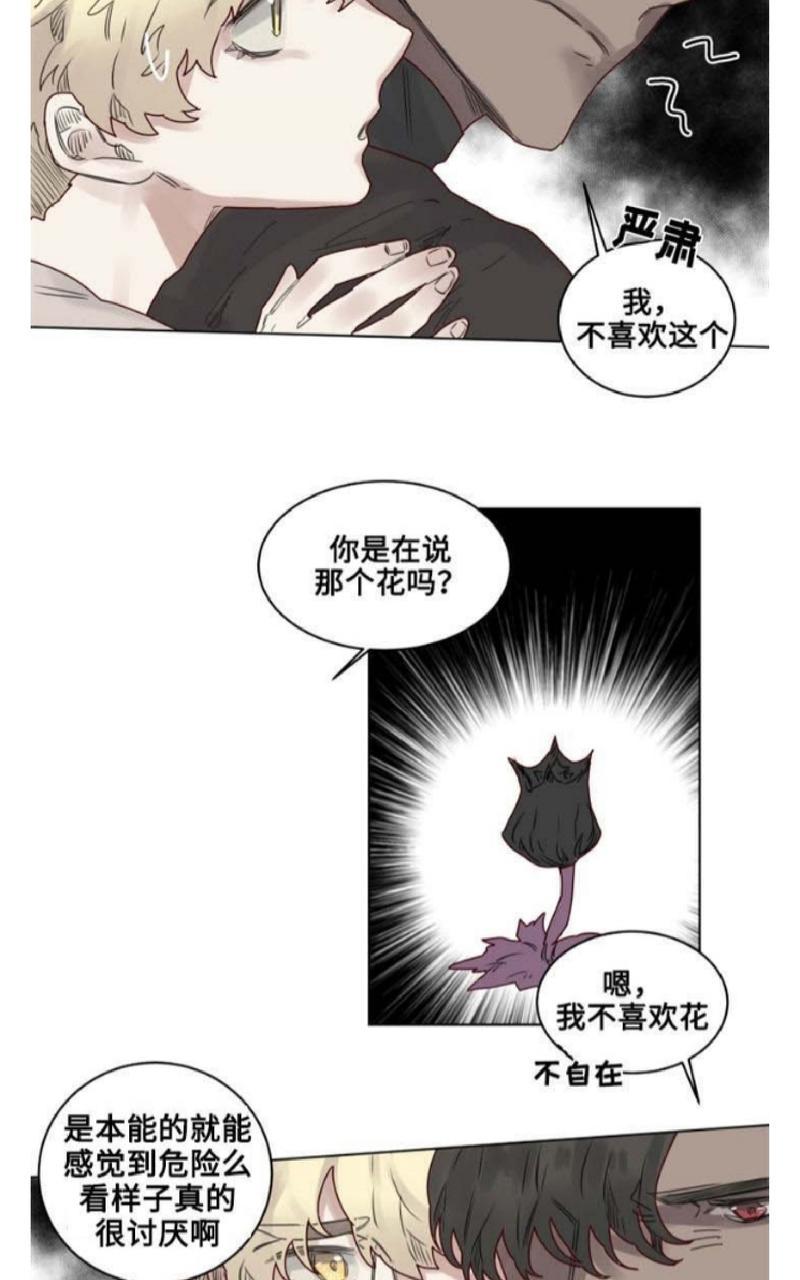 《不一样的魔法师/奇幻魔法师》漫画最新章节 第23话 免费下拉式在线观看章节第【5】张图片