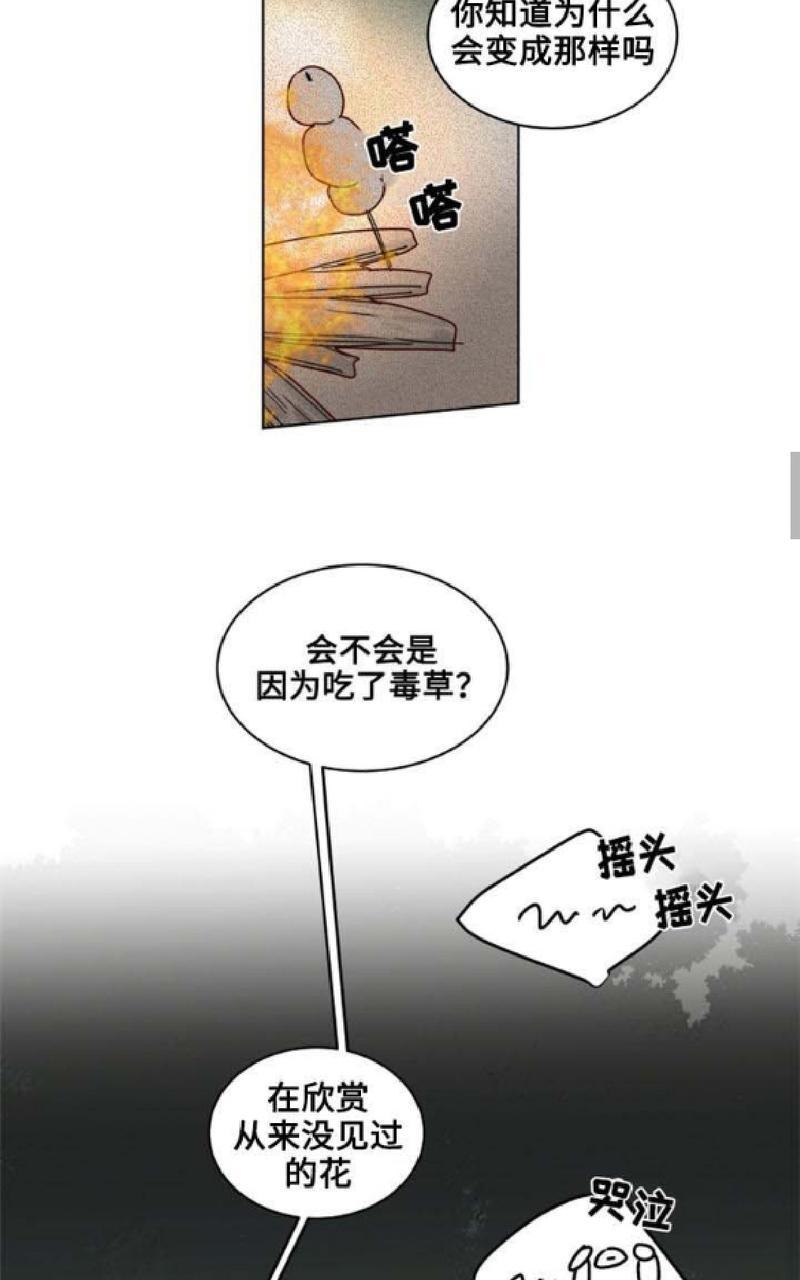 【不一样的魔法师/奇幻魔法师[耽美]】漫画-（ 第21话 ）章节漫画下拉式图片-14.jpg