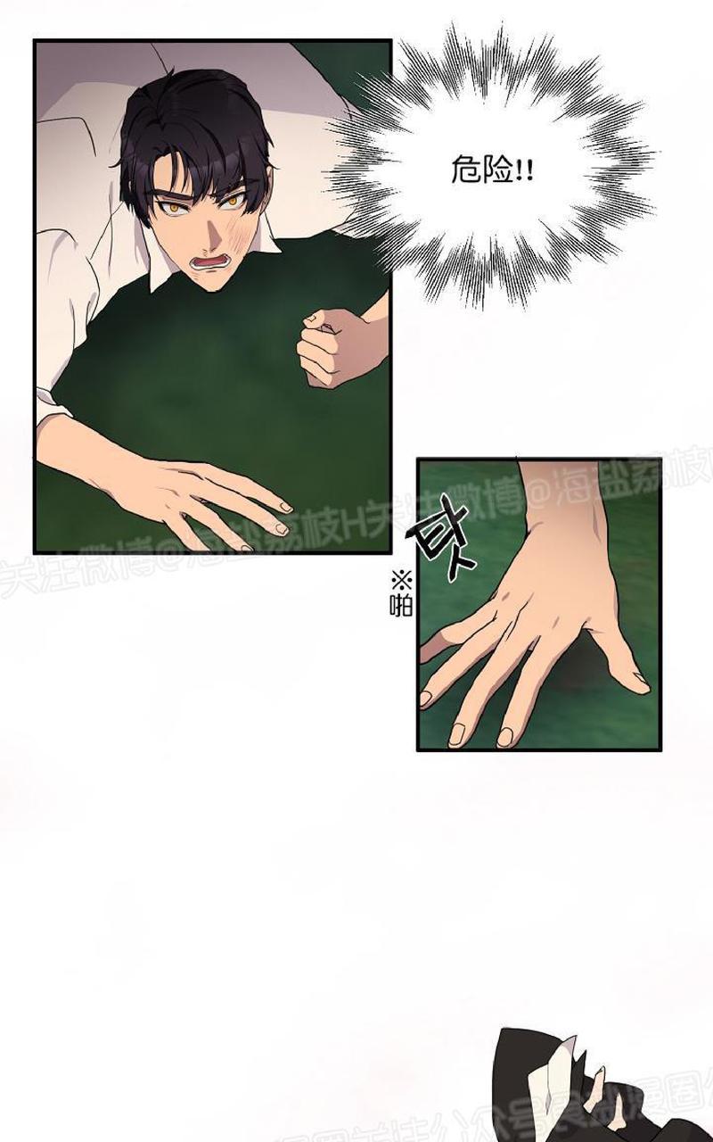 《王的土豆》漫画最新章节 第5话完结 免费下拉式在线观看章节第【40】张图片