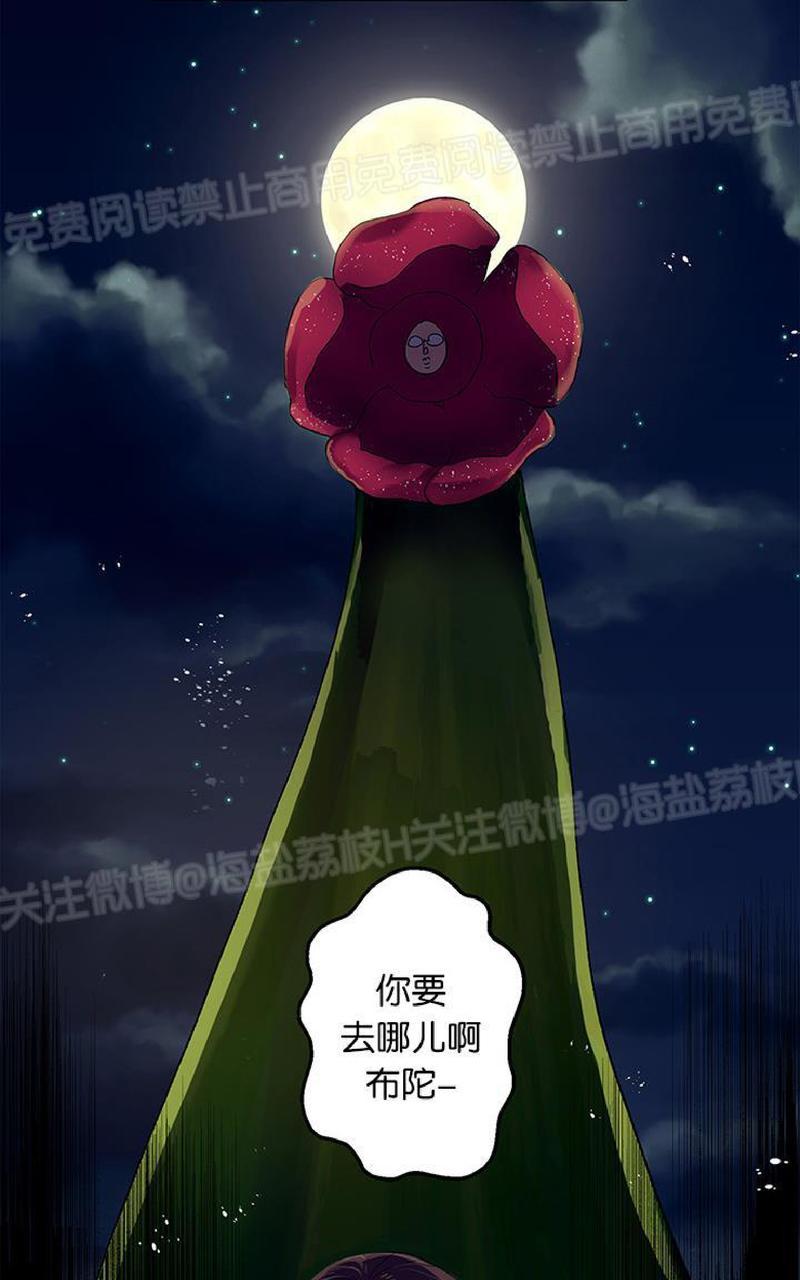 《王的土豆》漫画最新章节 第4话 免费下拉式在线观看章节第【72】张图片