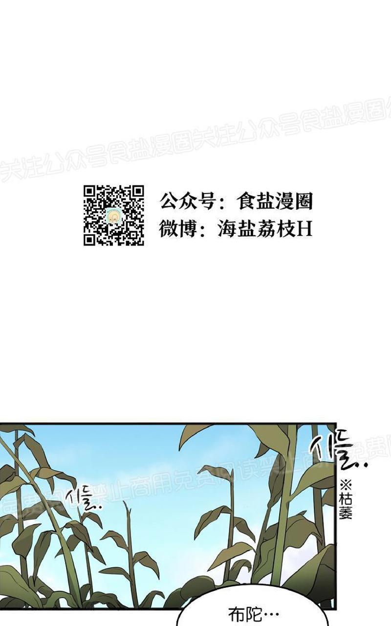 《王的土豆》漫画最新章节 第1话 免费下拉式在线观看章节第【1】张图片