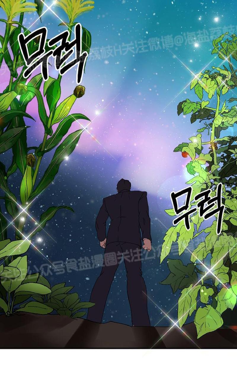 《王的土豆》漫画最新章节 第1话 免费下拉式在线观看章节第【42】张图片