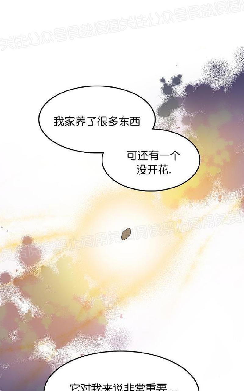 《王的土豆》漫画最新章节 第1话 免费下拉式在线观看章节第【51】张图片