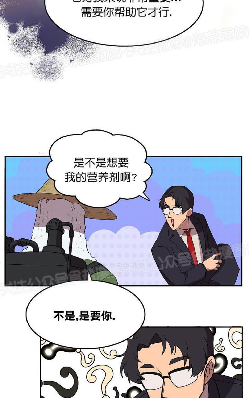 《王的土豆》漫画最新章节 第1话 免费下拉式在线观看章节第【52】张图片