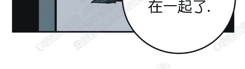 《body complex/身体情结/复合的躯体》漫画最新章节第15话免费下拉式在线观看章节第【6】张图片