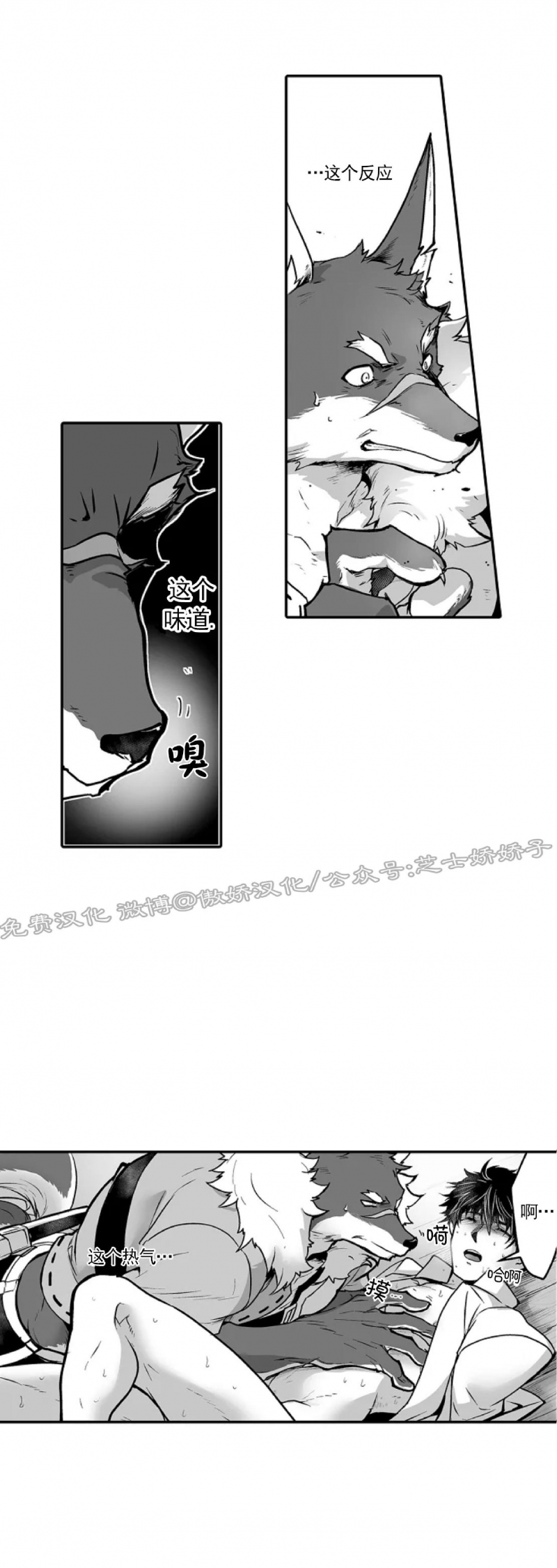 《巨人族的新娘(韩漫排版)》漫画最新章节第14话免费下拉式在线观看章节第【5】张图片