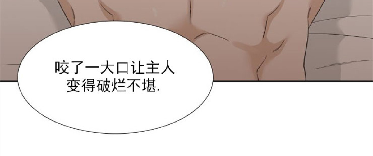 《狂热/疯狗》漫画最新章节第38话免费下拉式在线观看章节第【30】张图片