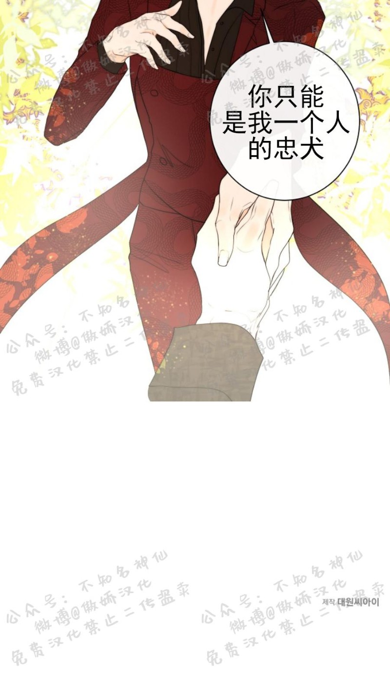 《今天开始做你的狗》漫画最新章节第5话免费下拉式在线观看章节第【27】张图片