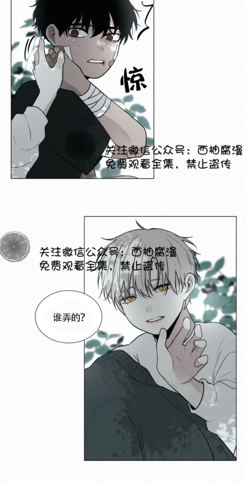 《为你献血》漫画最新章节第28话免费下拉式在线观看章节第【9】张图片