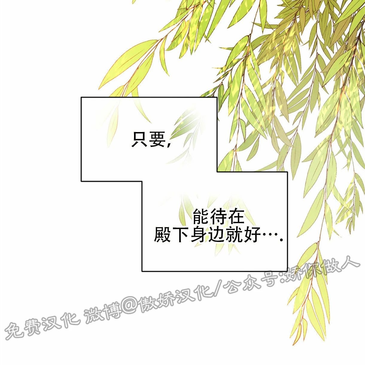 《柳树浪漫/杨柳罗曼史》漫画最新章节第37话免费下拉式在线观看章节第【25】张图片