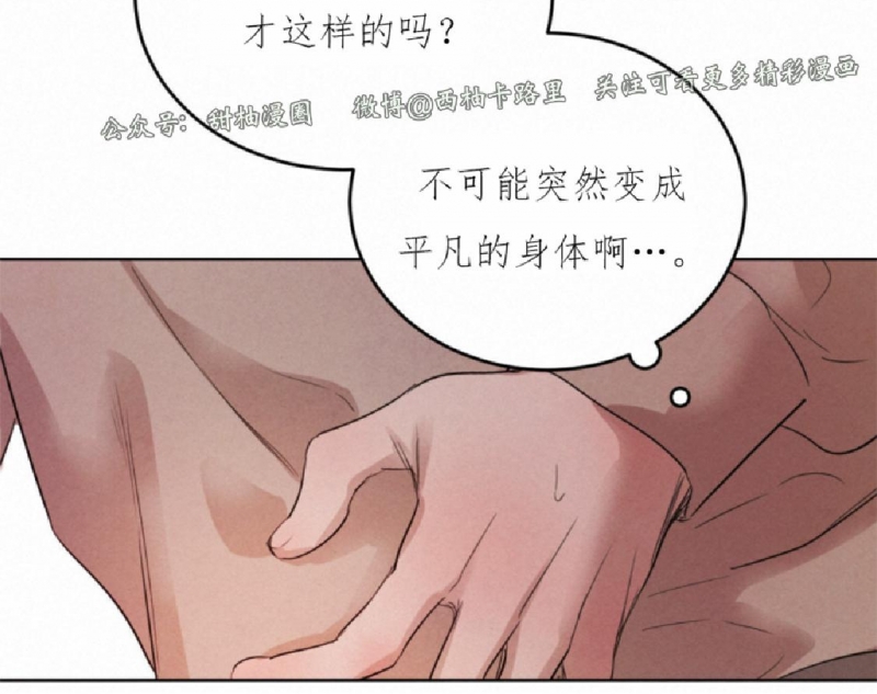 《柳树浪漫/杨柳罗曼史》漫画最新章节第38话免费下拉式在线观看章节第【20】张图片