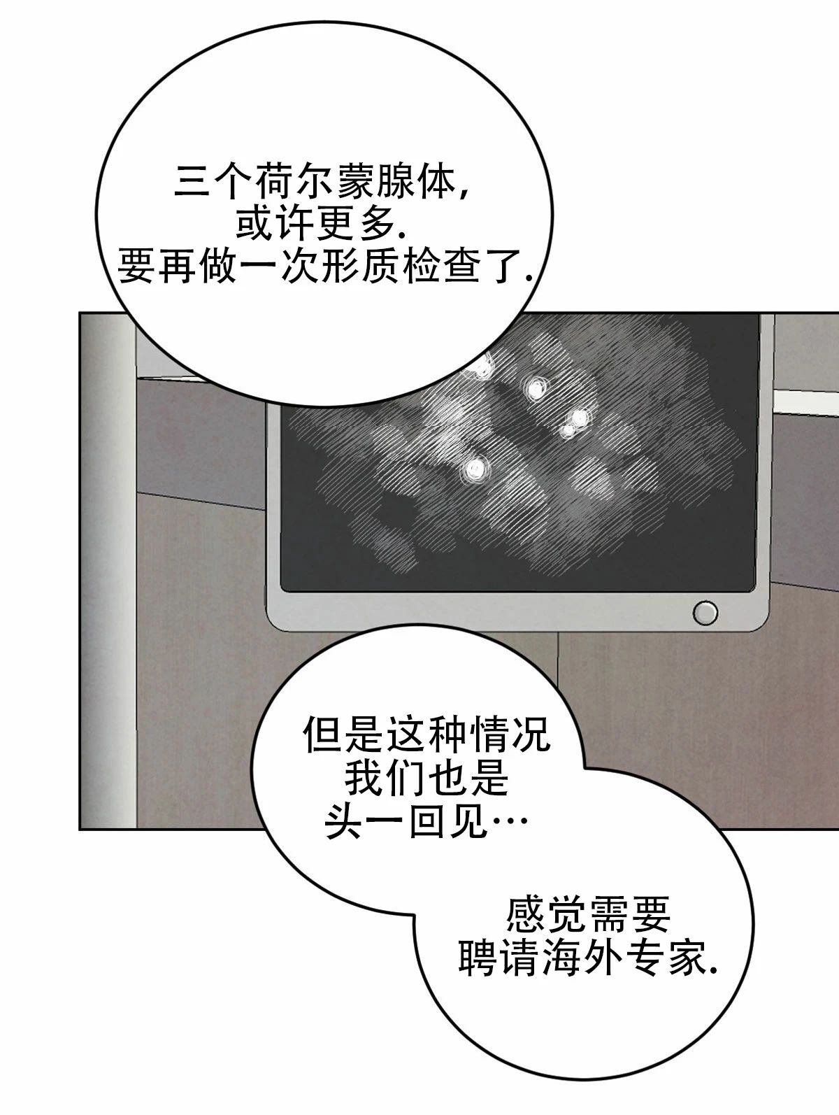 《柳树浪漫/杨柳罗曼史》漫画最新章节第39话免费下拉式在线观看章节第【19】张图片