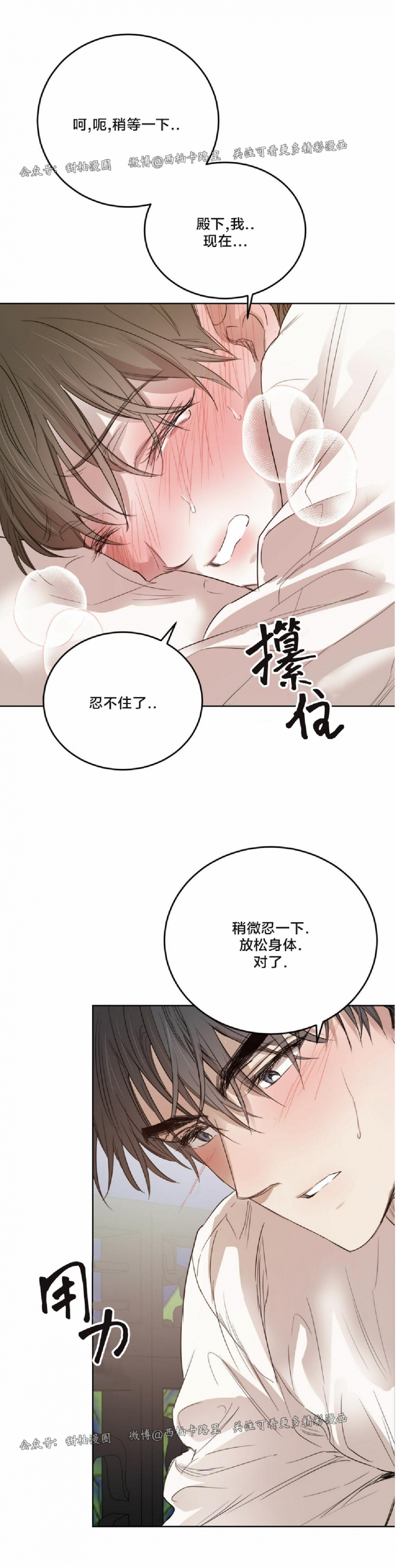 《柳树浪漫/杨柳罗曼史》漫画最新章节第40话免费下拉式在线观看章节第【14】张图片