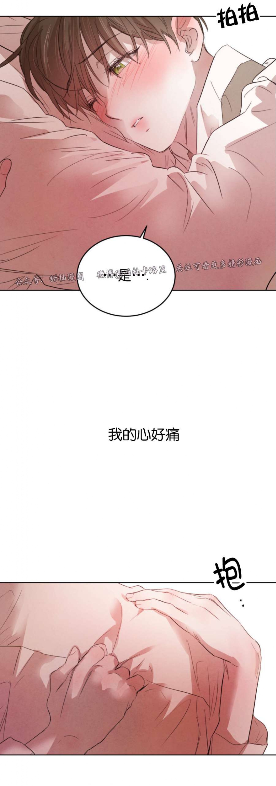 《柳树浪漫/杨柳罗曼史》漫画最新章节第41话免费下拉式在线观看章节第【24】张图片