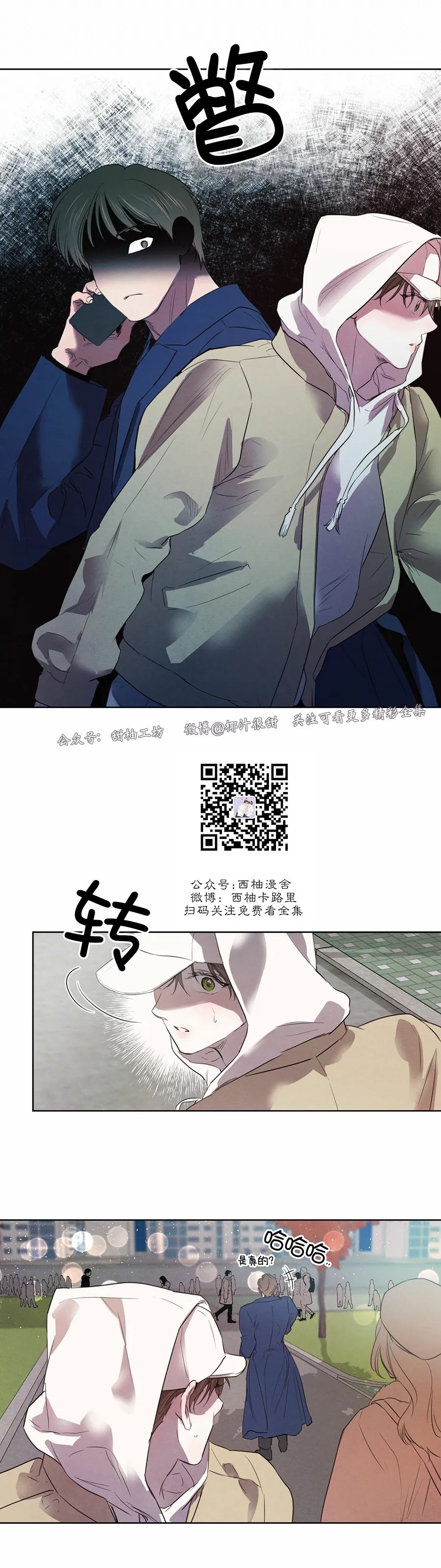 《柳树浪漫/杨柳罗曼史》漫画最新章节第49话免费下拉式在线观看章节第【19】张图片