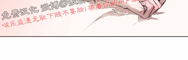 《柳树浪漫/杨柳罗曼史》漫画最新章节第17话免费下拉式在线观看章节第【11】张图片