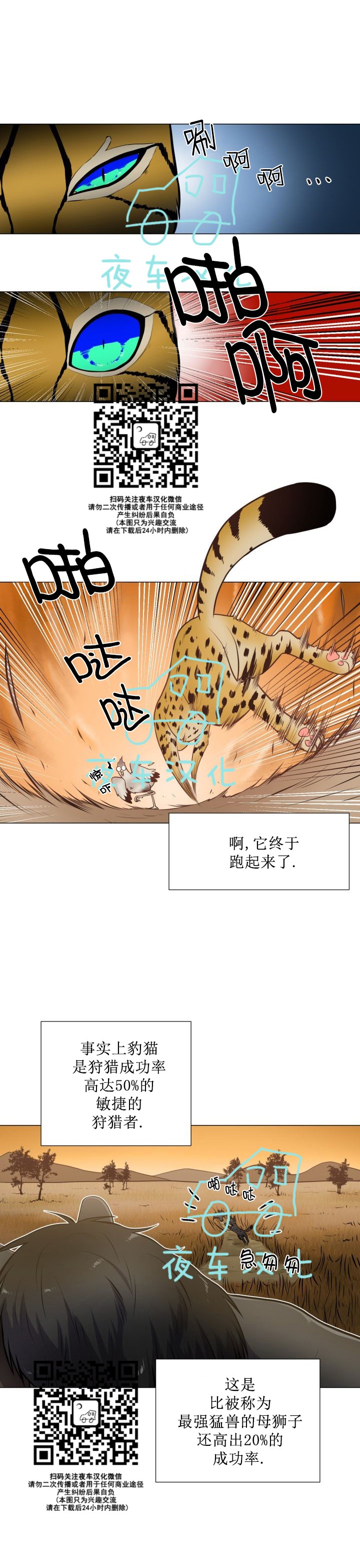 《动物王国》漫画最新章节第24话免费下拉式在线观看章节第【13】张图片