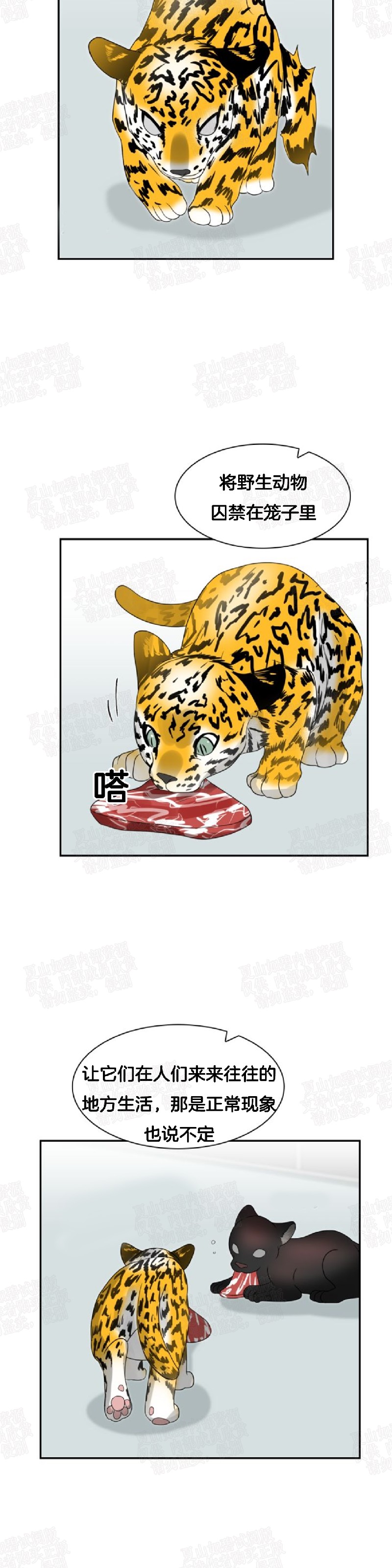 【动物王国[耽美]】漫画-（第20话）章节漫画下拉式图片-第17张图片
