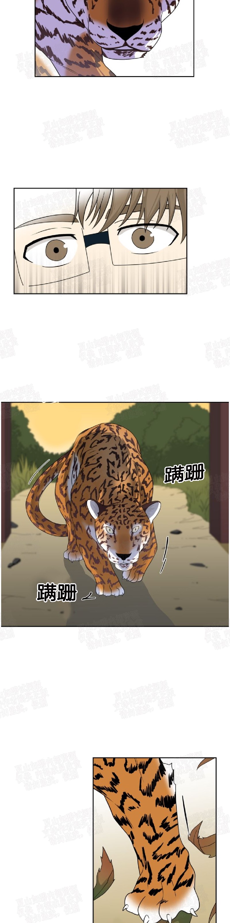 【动物王国[耽美]】漫画-（第21话）章节漫画下拉式图片-13.jpg