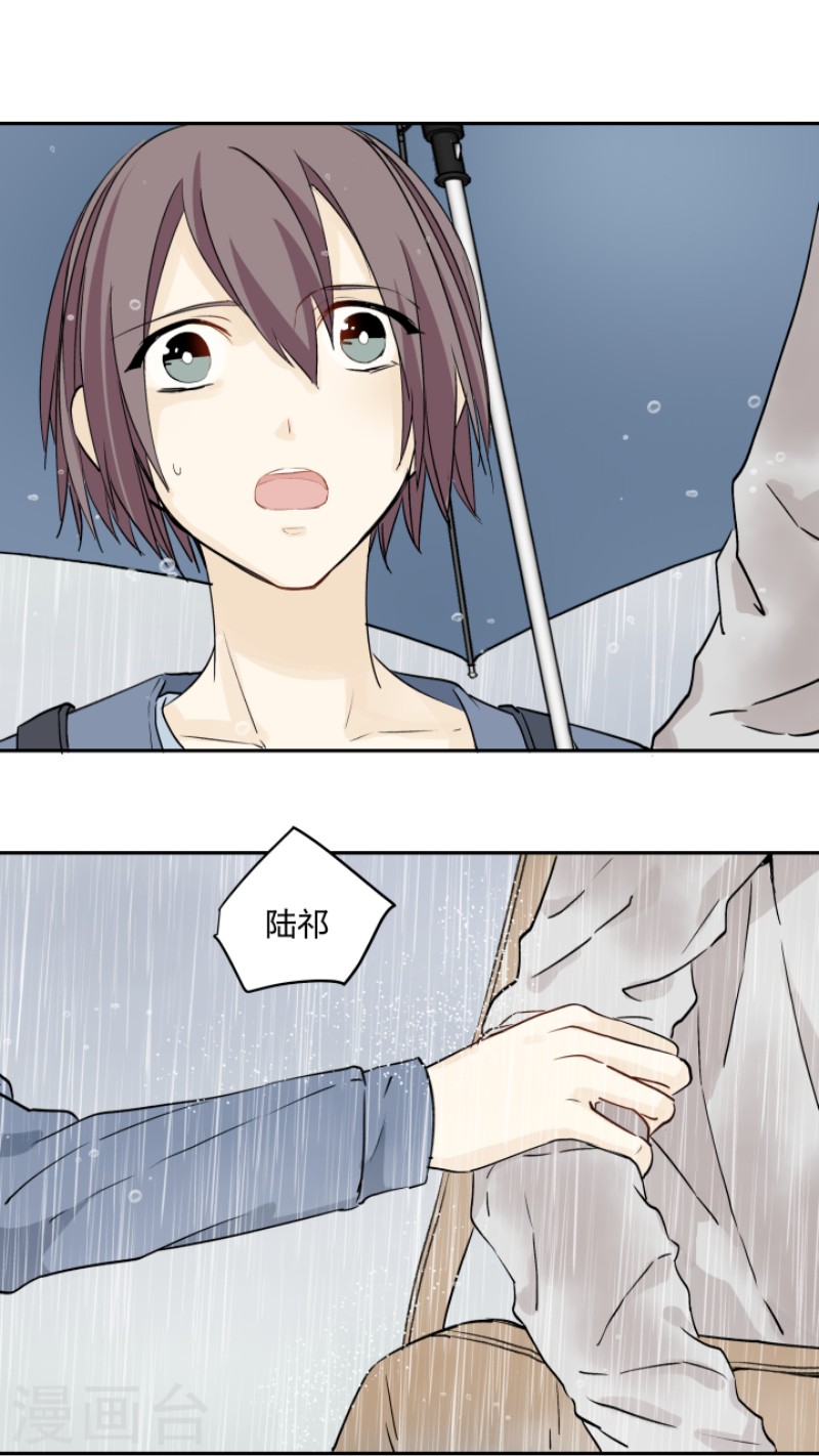 《心之茧 》漫画最新章节第28话免费下拉式在线观看章节第【1】张图片