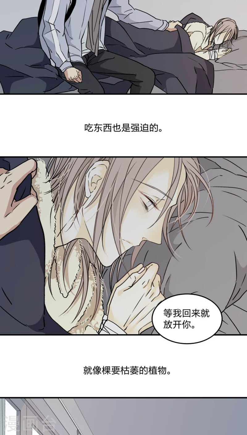 《心之茧 》漫画最新章节第45话免费下拉式在线观看章节第【24】张图片