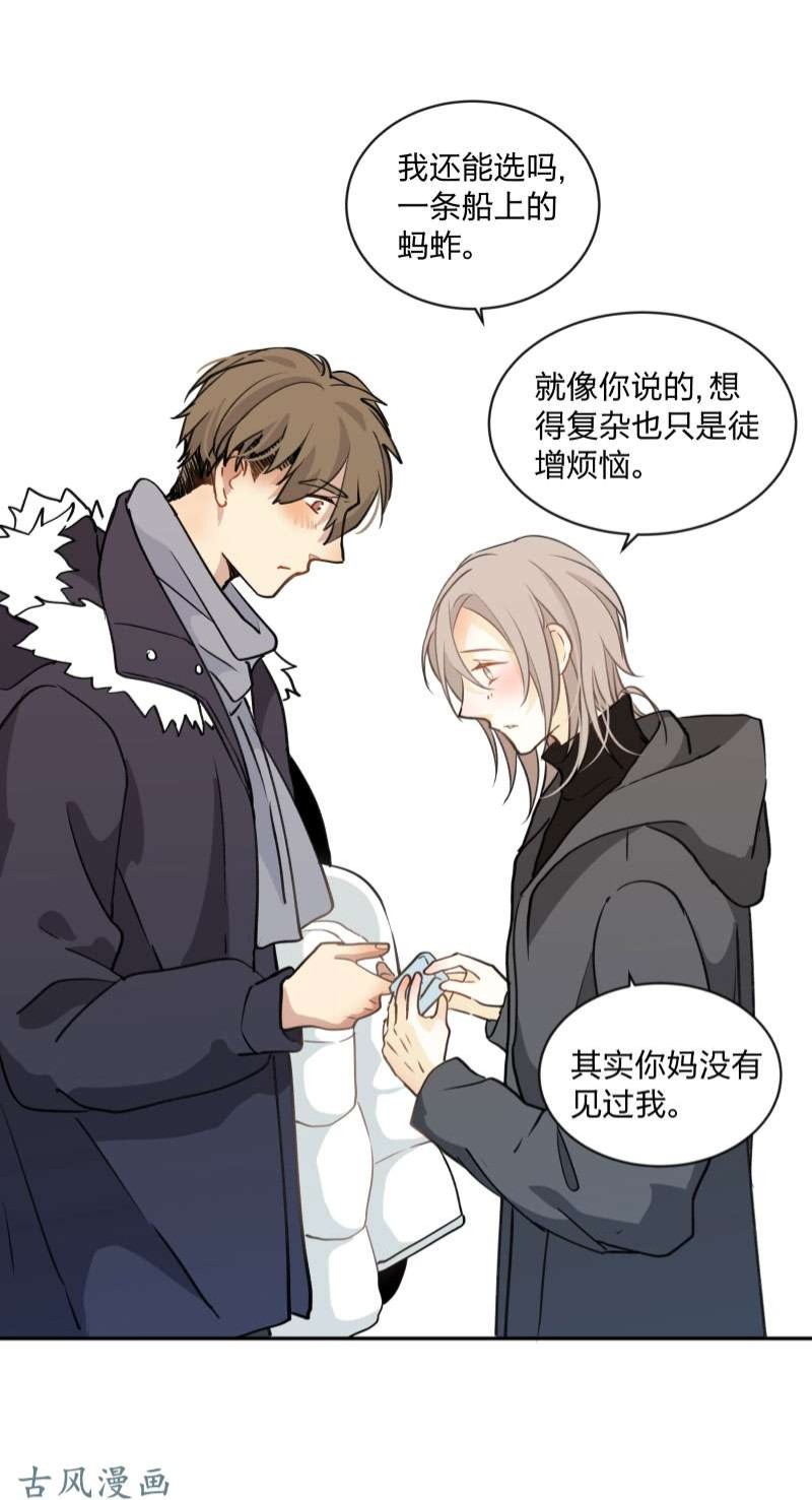 《心之茧 》漫画最新章节第96话免费下拉式在线观看章节第【15】张图片