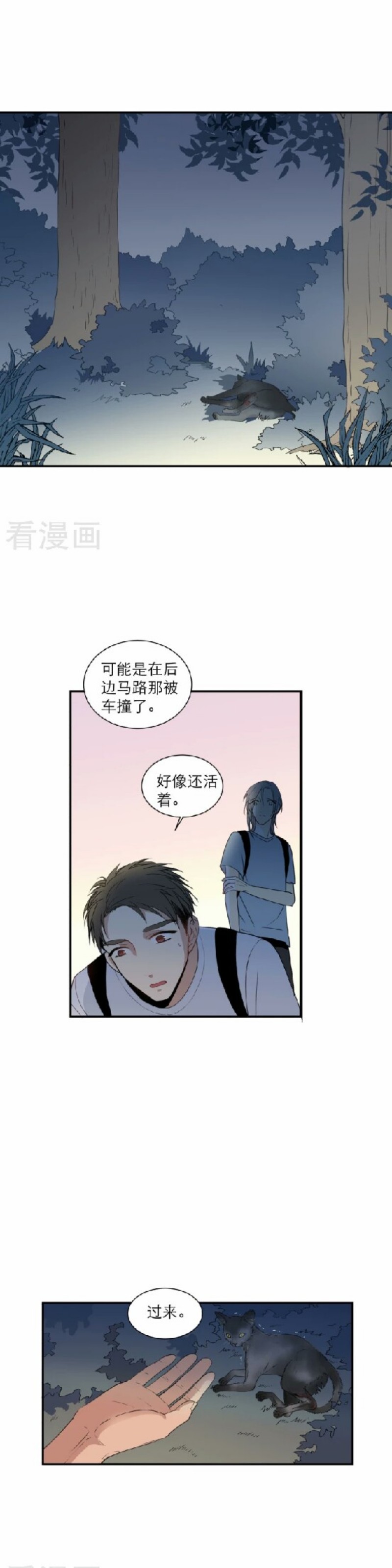 《心之茧 》漫画最新章节第101话免费下拉式在线观看章节第【3】张图片