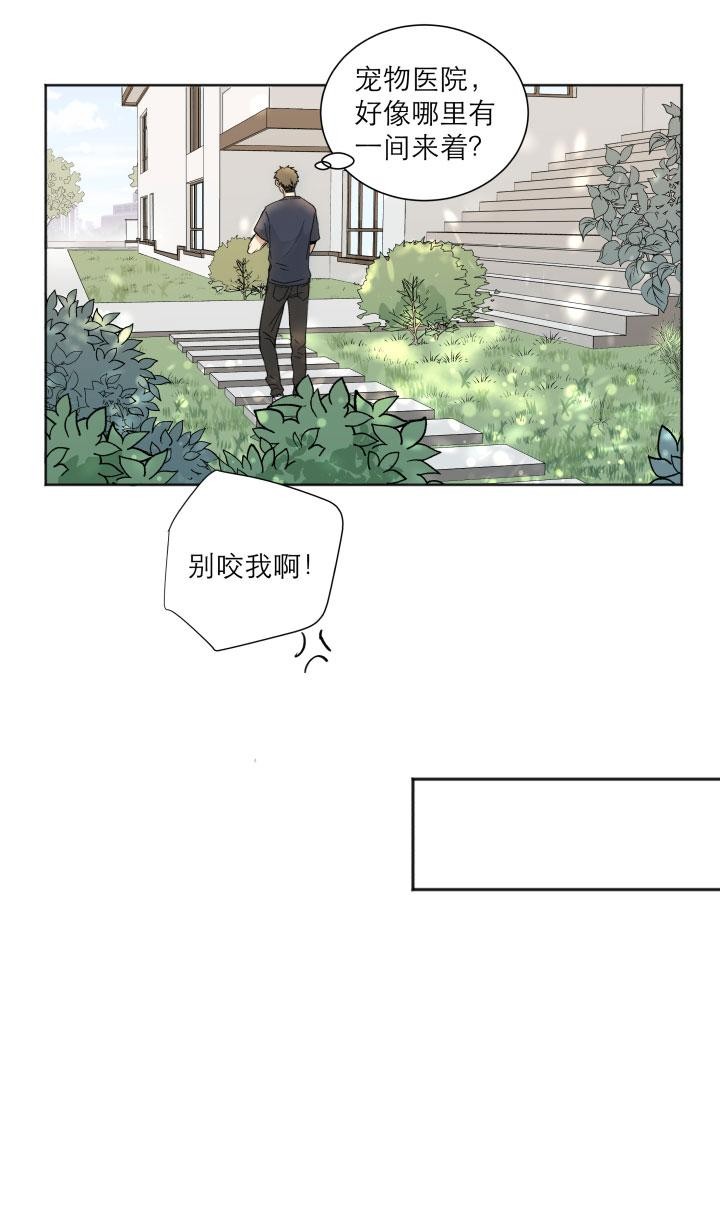 《心之茧 》漫画最新章节第102话下免费下拉式在线观看章节第【3】张图片