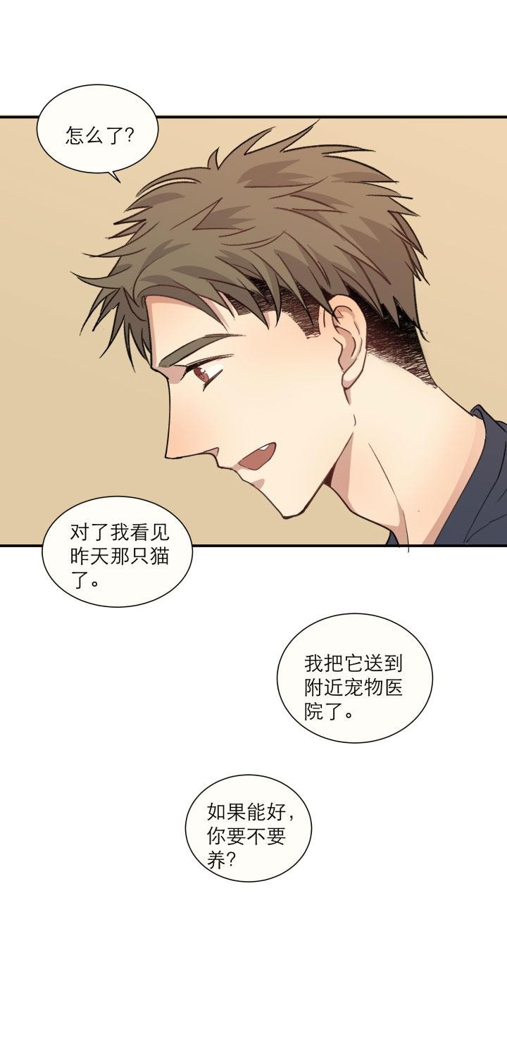 《心之茧 》漫画最新章节第102话下免费下拉式在线观看章节第【13】张图片