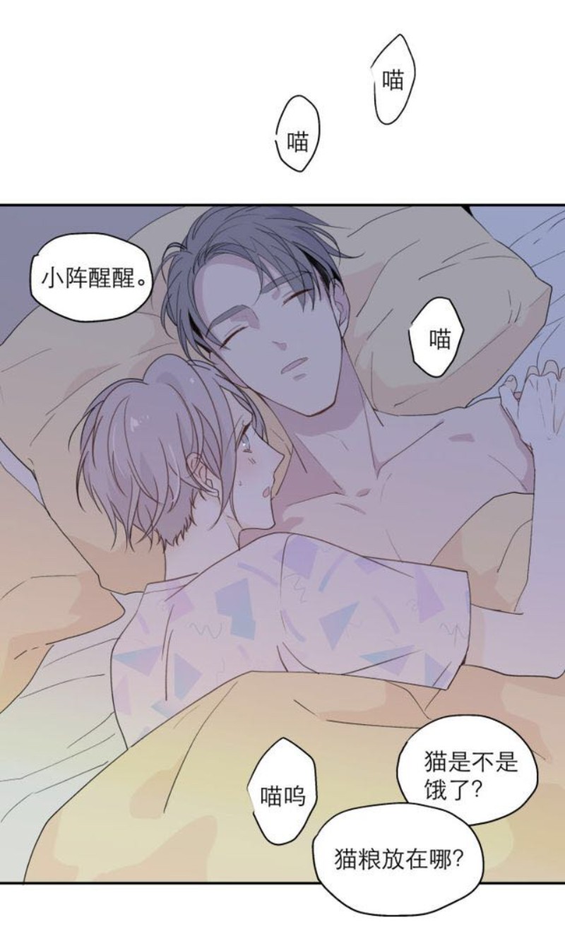 《心之茧 》漫画最新章节第111话 完免费下拉式在线观看章节第【40】张图片