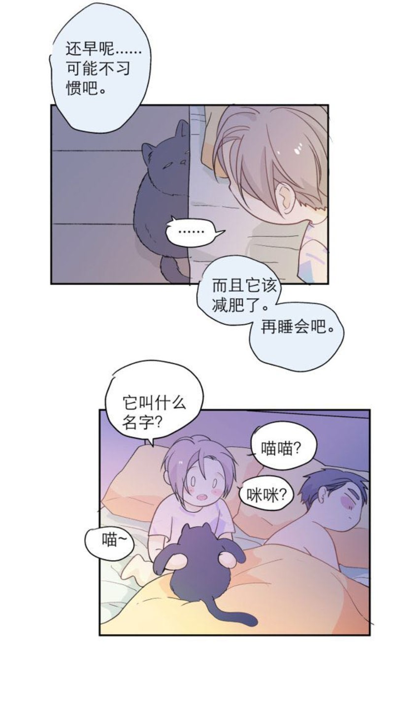 《心之茧 》漫画最新章节第111话 完免费下拉式在线观看章节第【41】张图片