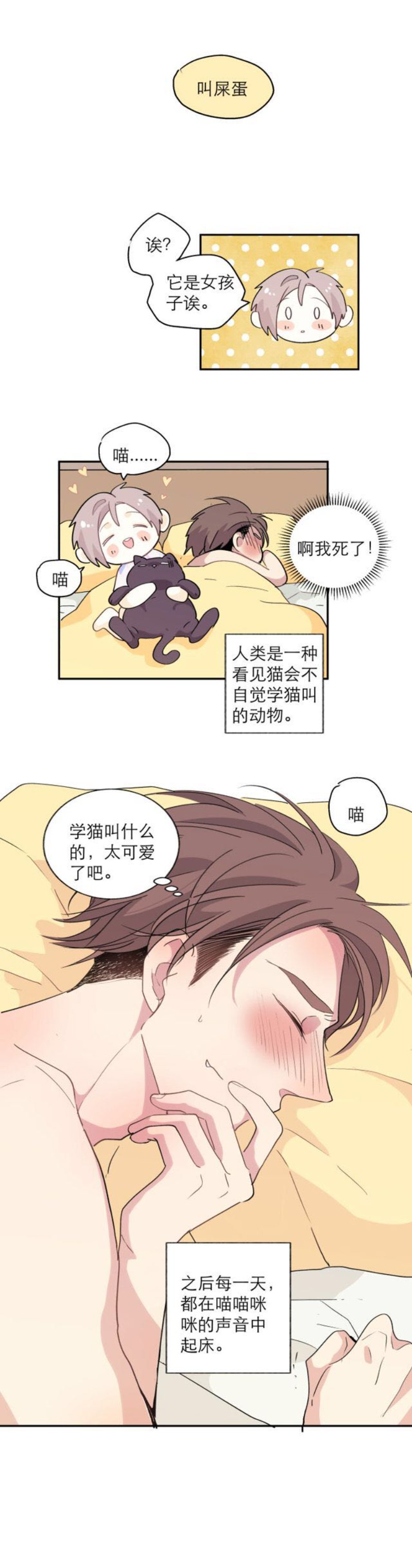 《心之茧 》漫画最新章节第111话 完免费下拉式在线观看章节第【42】张图片