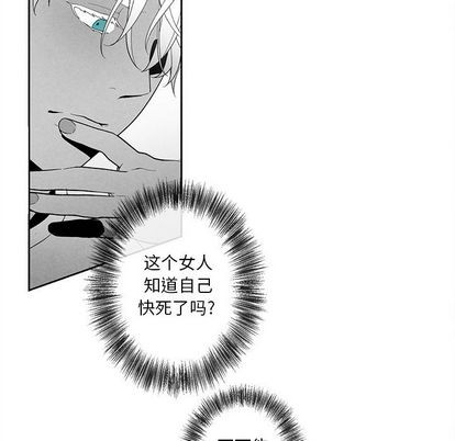 《墓志铭》漫画最新章节第14章免费下拉式在线观看章节第【53】张图片