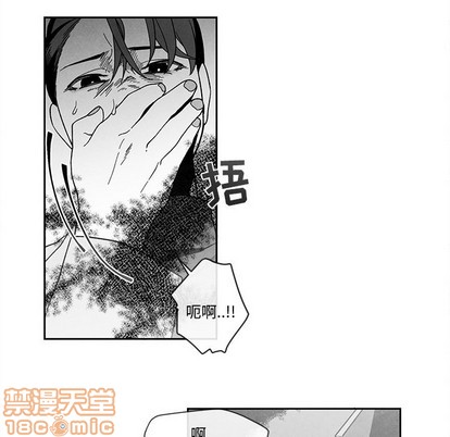 《墓志铭》漫画最新章节第27章免费下拉式在线观看章节第【55】张图片