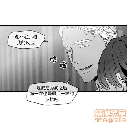 《墓志铭》漫画最新章节第29章免费下拉式在线观看章节第【35】张图片