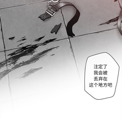 《墓志铭》漫画最新章节第29章免费下拉式在线观看章节第【37】张图片