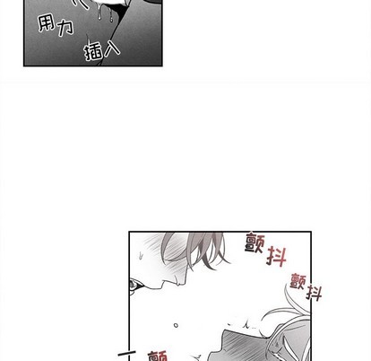 《墓志铭》漫画最新章节第29章免费下拉式在线观看章节第【53】张图片