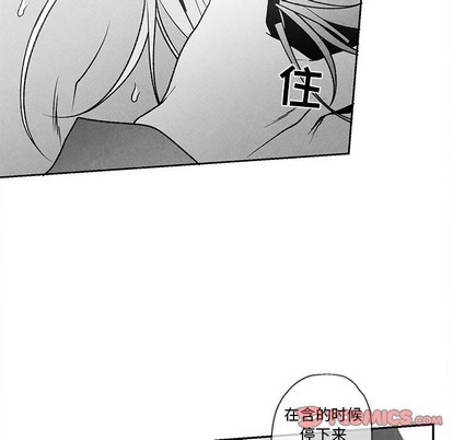 《墓志铭》漫画最新章节第37章免费下拉式在线观看章节第【14】张图片