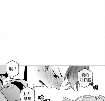 《墓志铭》漫画最新章节第37章免费下拉式在线观看章节第【63】张图片