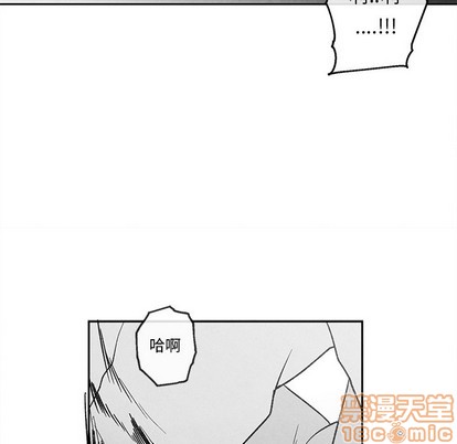 《墓志铭》漫画最新章节第37章免费下拉式在线观看章节第【80】张图片