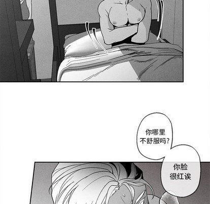 《墓志铭》漫画最新章节第39章免费下拉式在线观看章节第【48】张图片