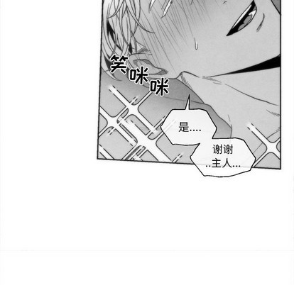 《墓志铭》漫画最新章节第41章免费下拉式在线观看章节第【23】张图片