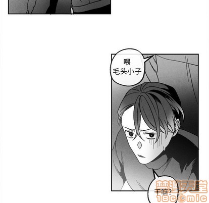 《墓志铭》漫画最新章节第41章免费下拉式在线观看章节第【45】张图片