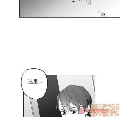 《墓志铭》漫画最新章节第49章免费下拉式在线观看章节第【30】张图片