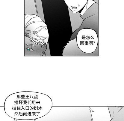 《墓志铭》漫画最新章节第49章免费下拉式在线观看章节第【31】张图片