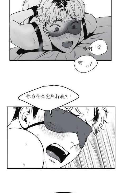 《BJ Alex》漫画最新章节 第37话 免费下拉式在线观看章节第【24】张图片