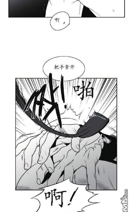 《BJ Alex》漫画最新章节 第37话 免费下拉式在线观看章节第【31】张图片