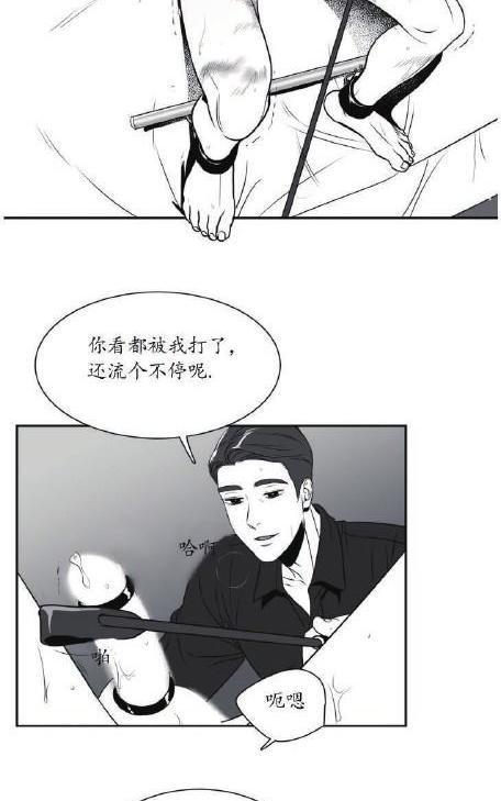 《BJ Alex》漫画最新章节 第37话 免费下拉式在线观看章节第【36】张图片