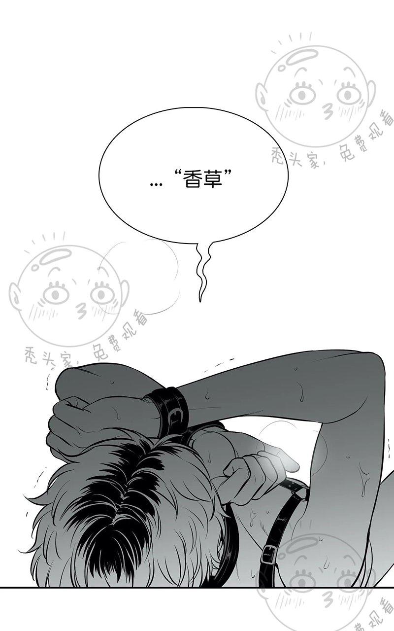 《BJ Alex》漫画最新章节 外传07 免费下拉式在线观看章节第【67】张图片